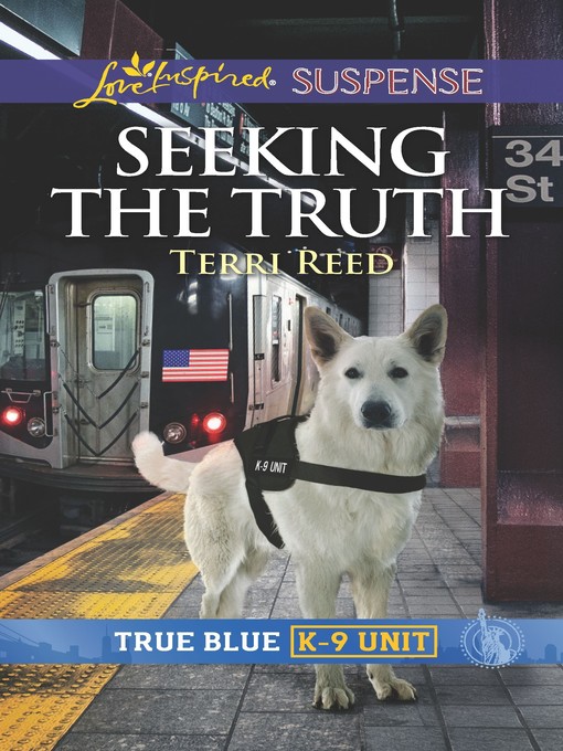 Cover image for Seeking the Truth